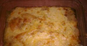 Gratin d’endives au Saint Nectaire