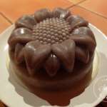 gateau-au-chocolat-8-minutes-micro-onde-7