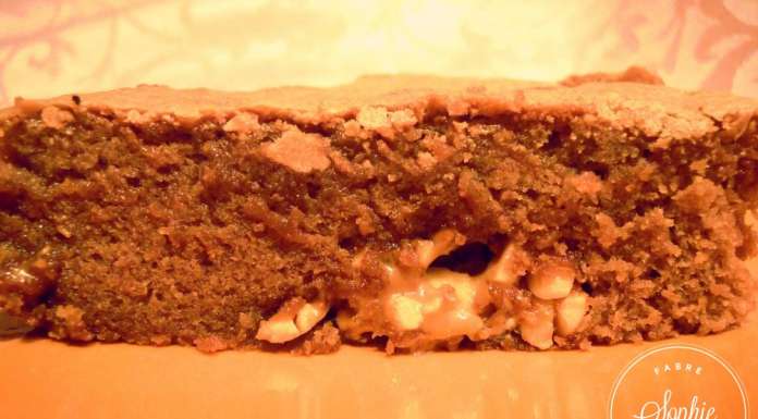 gateau-au-chocolat-au-lait-aux-inclusions-de-speculoos-et-cacahuetes