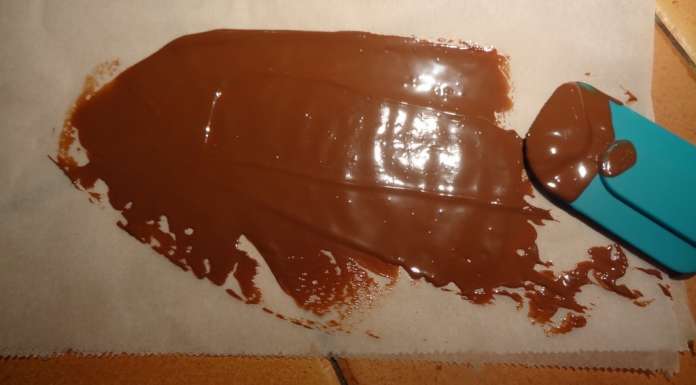 Bûche de Noël aux marrons sans gluten 12