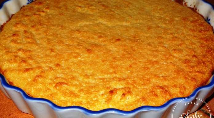 gateau-noix-de-coco-tout-simple