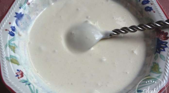 sauce-salade-ou-dip-creme-et-oignon