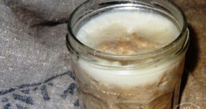Rillettes maison