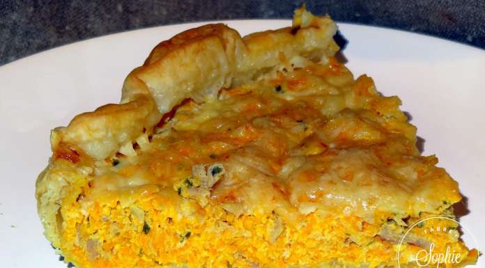 quiche-de-carottes-au-thon
