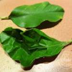 saumon-aux-feuilles-de-citronnier-et-lait-de-coco-1
