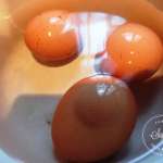 tomates-farcies-au-maigre-1
