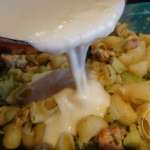 gratin-de-pipe-rigate-aux-brocolis-poulet-et-fromage-14