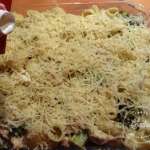 gratin-de-pipe-rigate-aux-brocolis-poulet-et-fromage-16