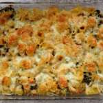 gratin-de-pipe-rigate-aux-brocolis-poulet-et-fromage-17
