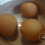 sandwiches-roules-1