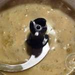 poulet-marine-aux-miel-ail-et-poivre-3