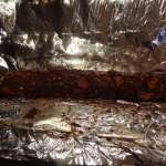 saucisson-de-mendiants-au-chocolat-7
