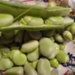 tagine-de-poulet-aux-legumes-et-pois-2