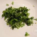 croustillants-de-tomates-et-mozzarella-1
