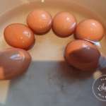gratin-florentin-1