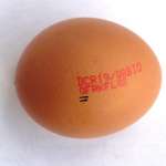 oeuf