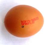 oeuf950