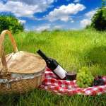 Picnic
