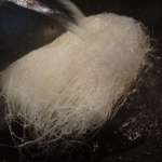 Photo 006