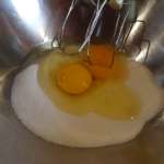 Photo 019