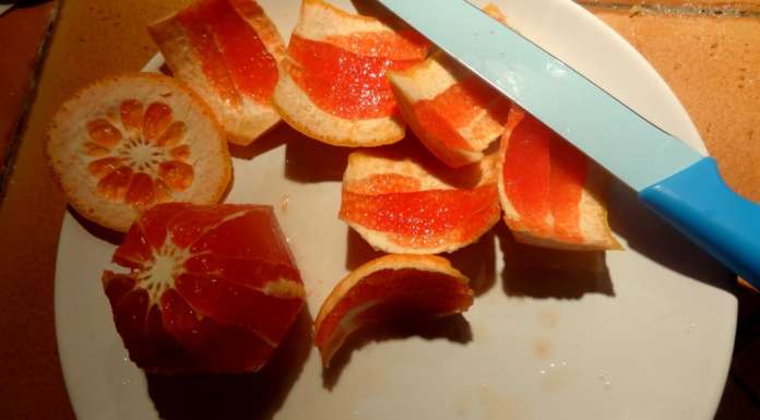 Photo 039
