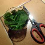 Faisselle aux concombre et herbes (Mast o khiar – Iran) 4