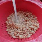 Soupe « tutti veggie » 12
