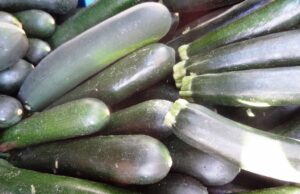 La courgette