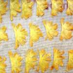 Chips d&rsquo;ananas 00