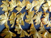 Chips d’ananas