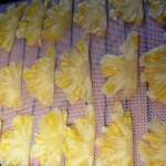 Chips d&rsquo;ananas 3
