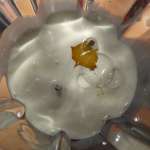 Mousseline aux deux carottes 3