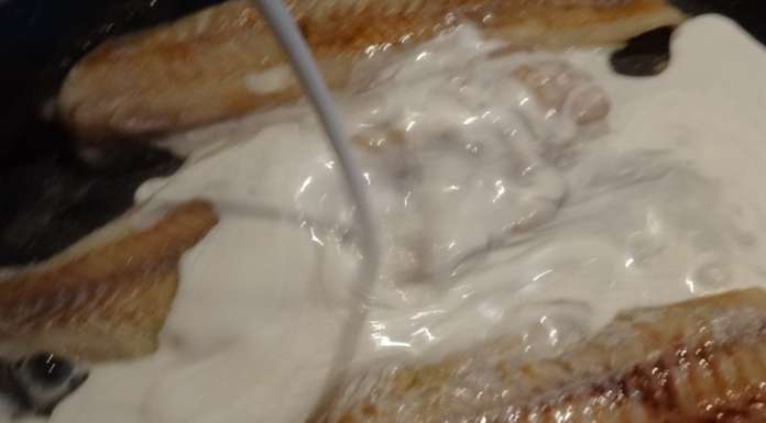 Poisson au lait de coco et coriandre 5