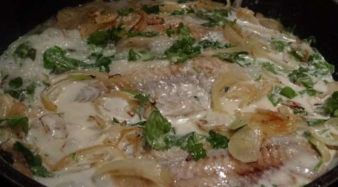 Poisson au lait de coco et coriandre 7