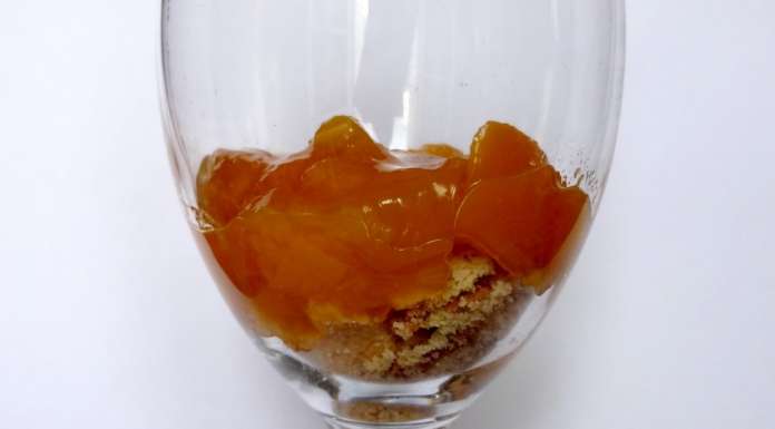 Trifle à la pêche 2