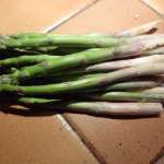 Asperges glacées 1