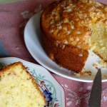 Gâteau aux nectarines et fleur d&rsquo;oranger 0