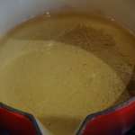 Pâte de raviolis frites pour dip 3