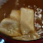 Pâte de raviolis frites pour dip 4