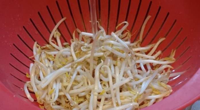 Salade de poisson et surimi sauce aneth et miel 4