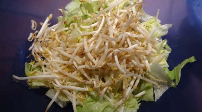 Salade de poisson et surimi sauce aneth et miel 6