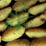 Wedges au poivre et à l&rsquo;ail