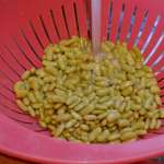 Flageolets aux oeufs et aneth (Baghali-Ghtot Iran) 4