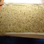 Baklava 9
