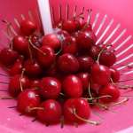 Entremet aux cerises 8