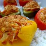 Farcis sans viande 0