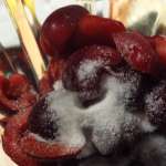 Glace cerises minute 6