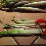 Gratin d&rsquo;asperges, riz et surimi 1