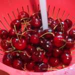 Gâteau aux cerises 1