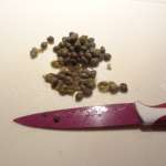 Steacks de coeur de boeuf sauce aux herbes 5